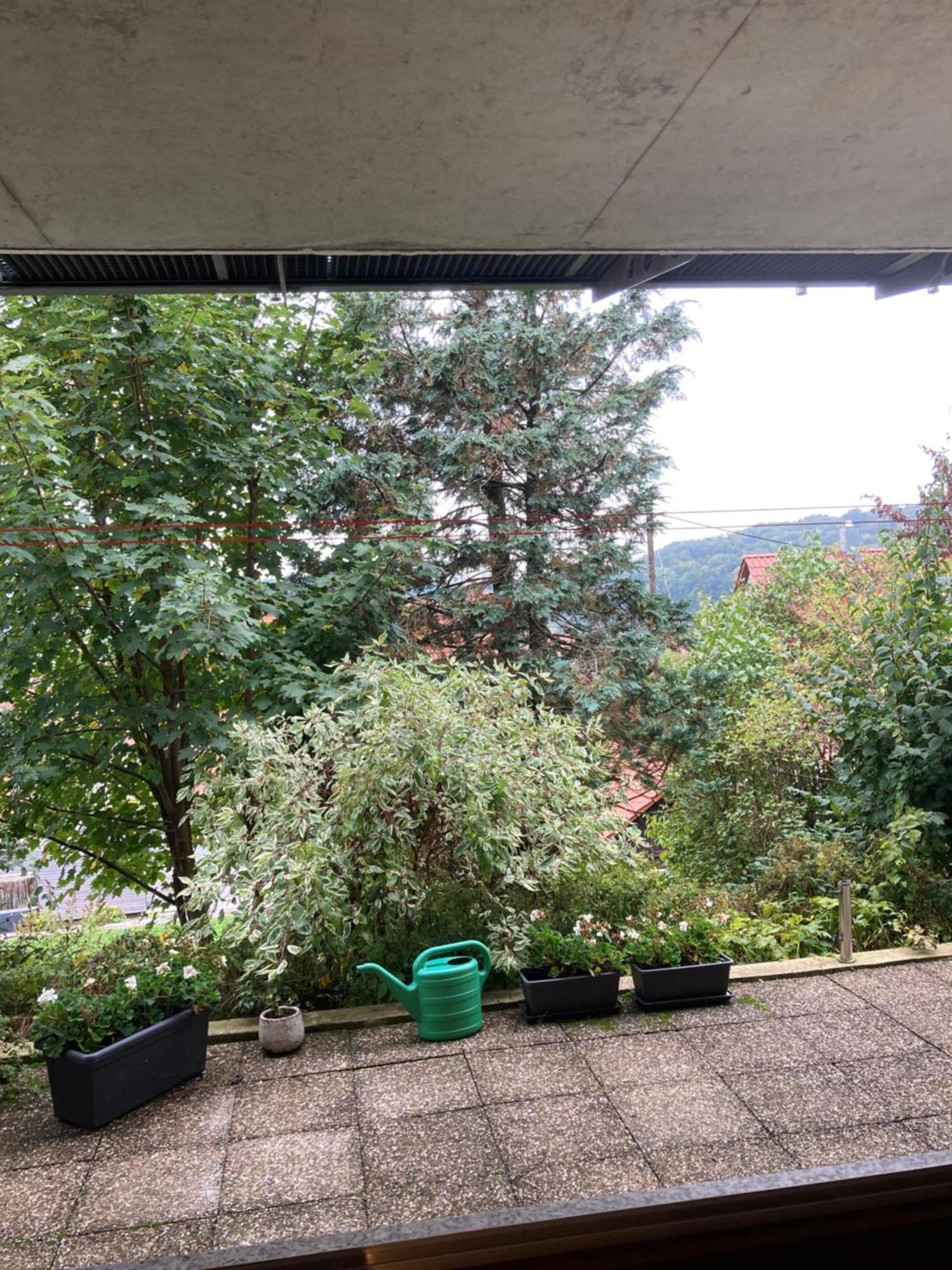 Lichtdurchflutete Ferienwohnung Sankt Johann  Eksteriør billede